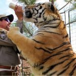 Tiger King Sequel “Investigating The Strange World Of Joe Exotic” is Coming