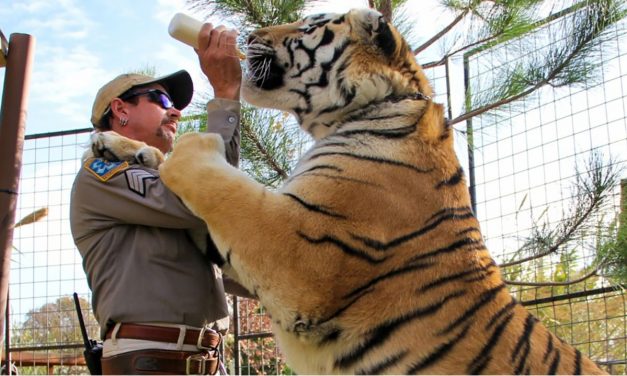 Tiger King Sequel “Investigating The Strange World Of Joe Exotic” is Coming