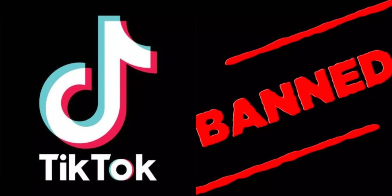 Famous App TikTok Is Now Banned in India